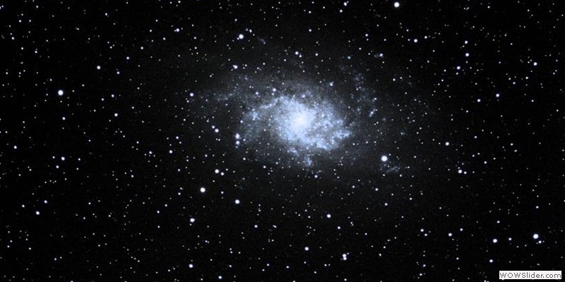 M33