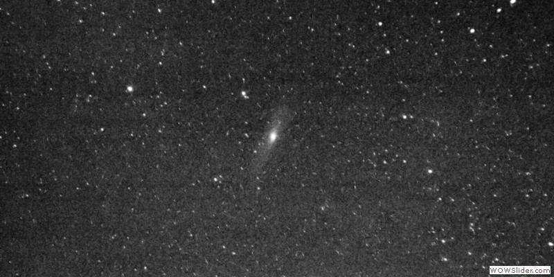 M31