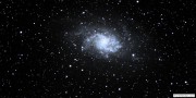 M33